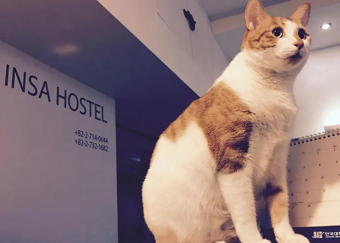 Hostal Insadong *