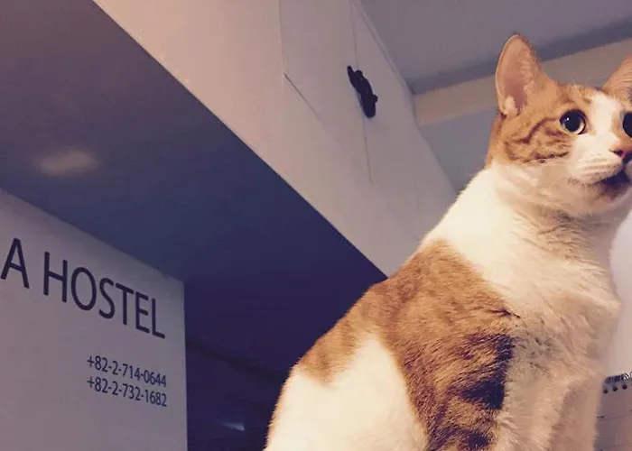 Hostal Insadong *
