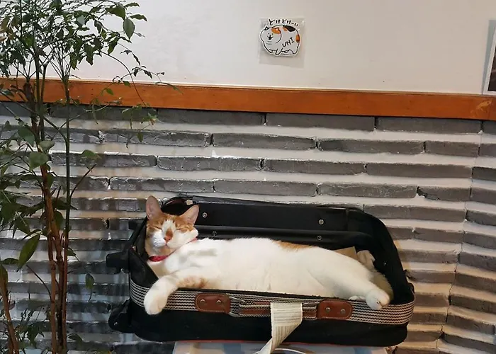 Insadong Hostal Seúl